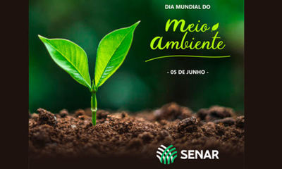 Semana do Meio Ambiente